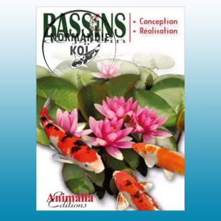 Le guide des bassins de jardin