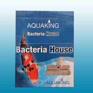 Bacteria house