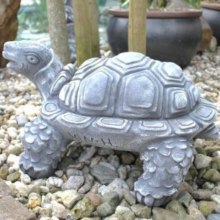 Tortue type 2 / 3.2